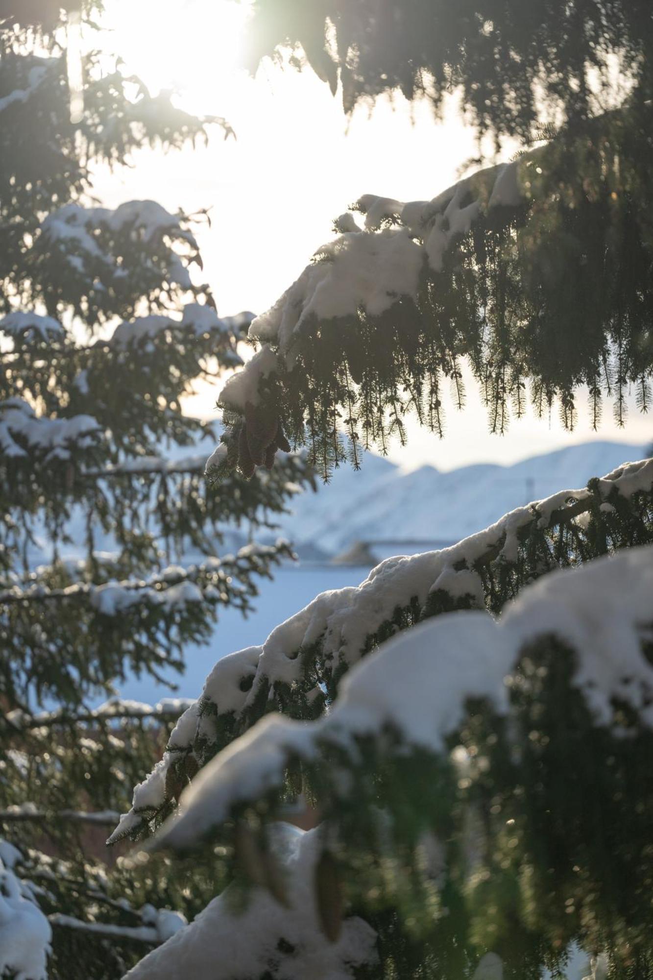 Chalet Alpe D'Huez 1850-Sea And Mountain Pleasure Avec 2 Appartements- 1 Appartement 3 Chambres 8 Couchages - 3 Salles D'Eau Et 1 Appartement 5 Chambres 12 Couchages 5 Salles D'Eau - Jacuzzi Et Sauna -Pieds Des Pistes Et Centre Exteriér fotografie