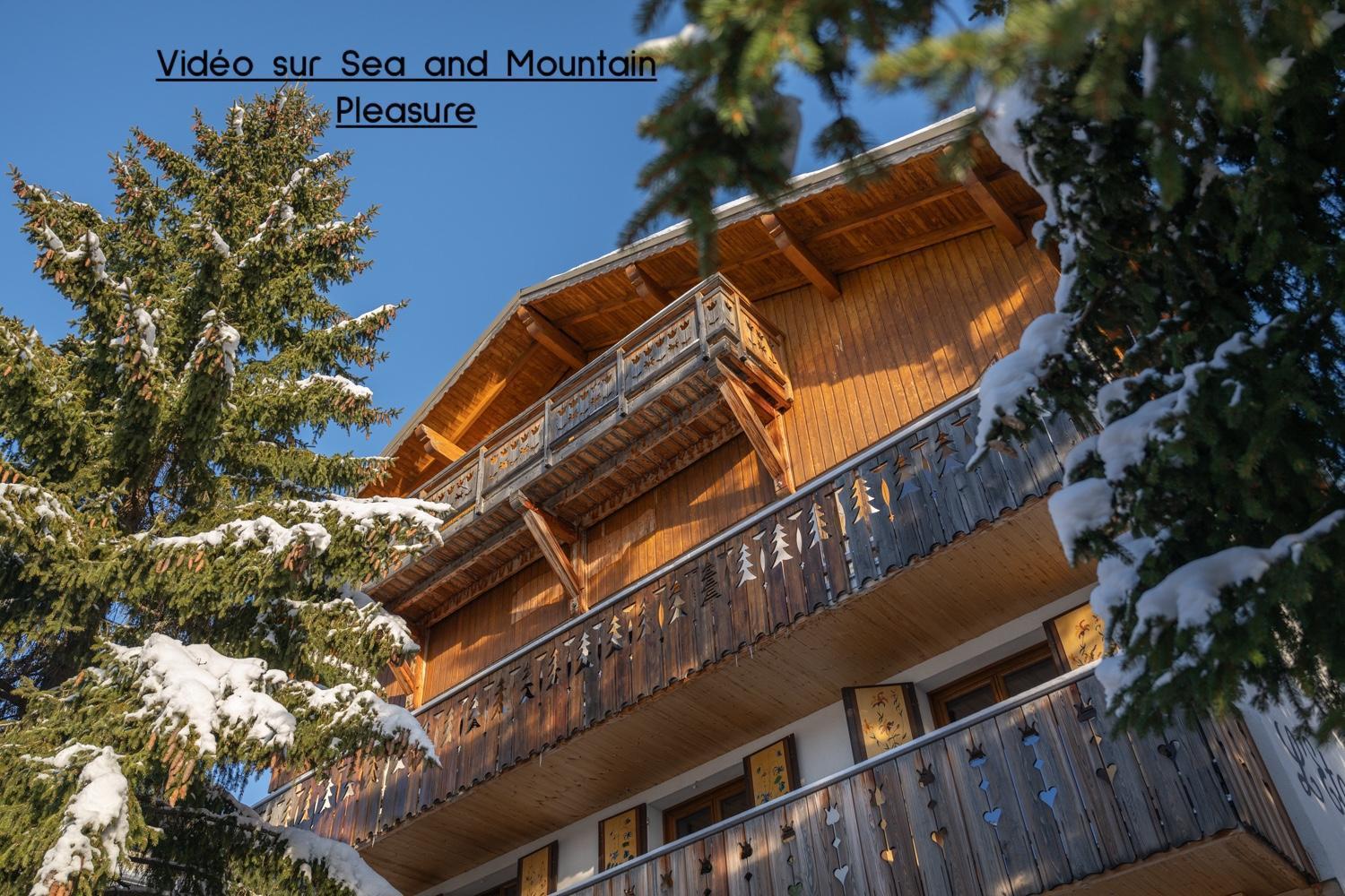 Chalet Alpe D'Huez 1850-Sea And Mountain Pleasure Avec 2 Appartements- 1 Appartement 3 Chambres 8 Couchages - 3 Salles D'Eau Et 1 Appartement 5 Chambres 12 Couchages 5 Salles D'Eau - Jacuzzi Et Sauna -Pieds Des Pistes Et Centre Exteriér fotografie